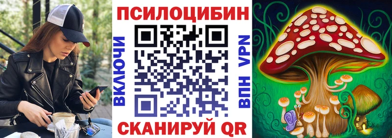 Псилоцибиновые грибы MAGIC MUSHROOMS  дарк нет какой сайт  Сретенск 